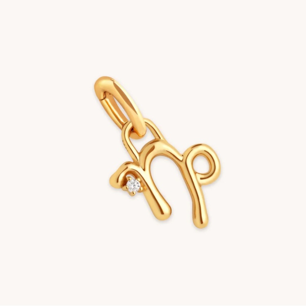 Astrid & Miyu Capricorn Charm
